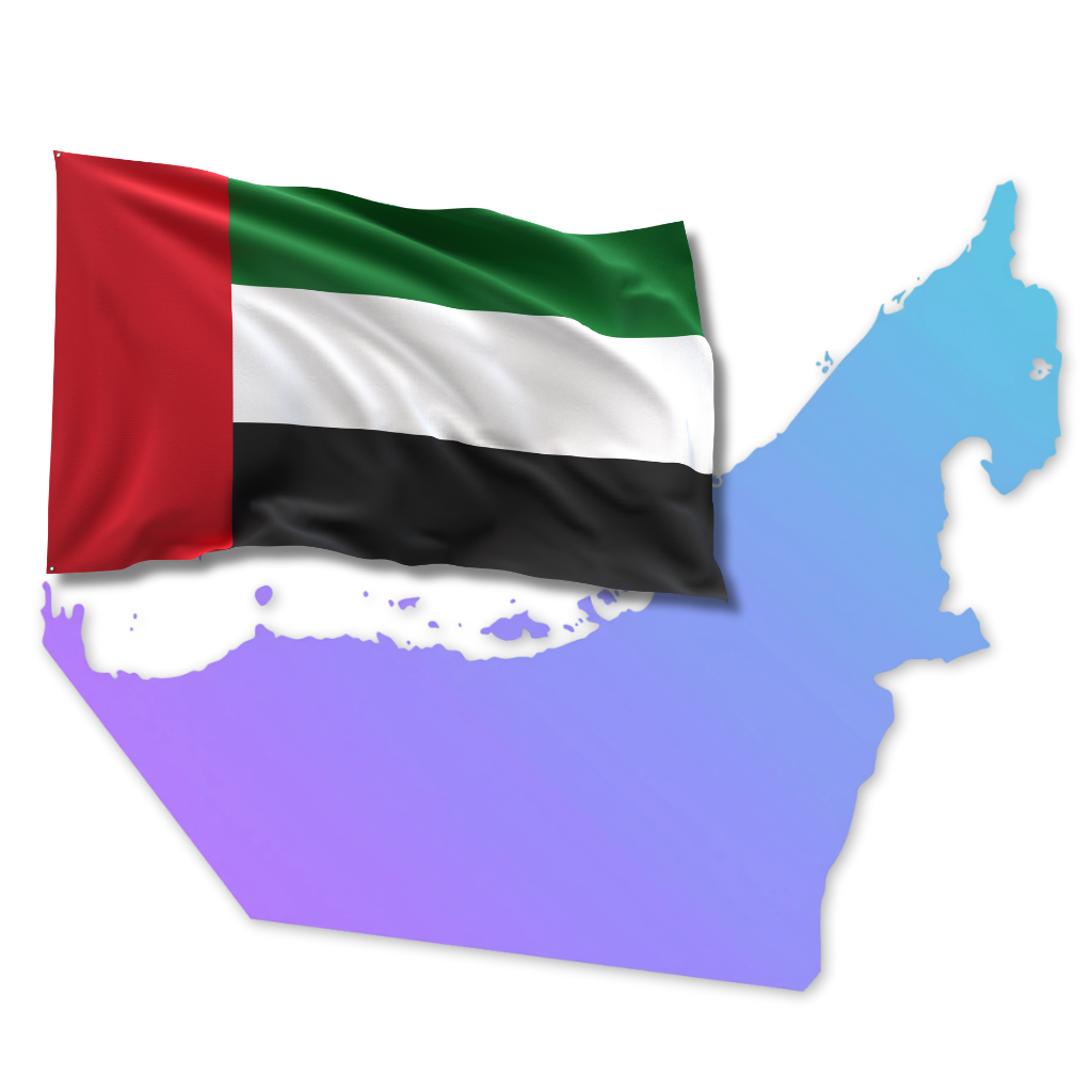 UAE healthcare demand across local search Google Maps reviews bilingual discovery and mobile patient journeys