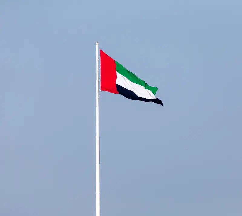 UAE healthcare market evidence map