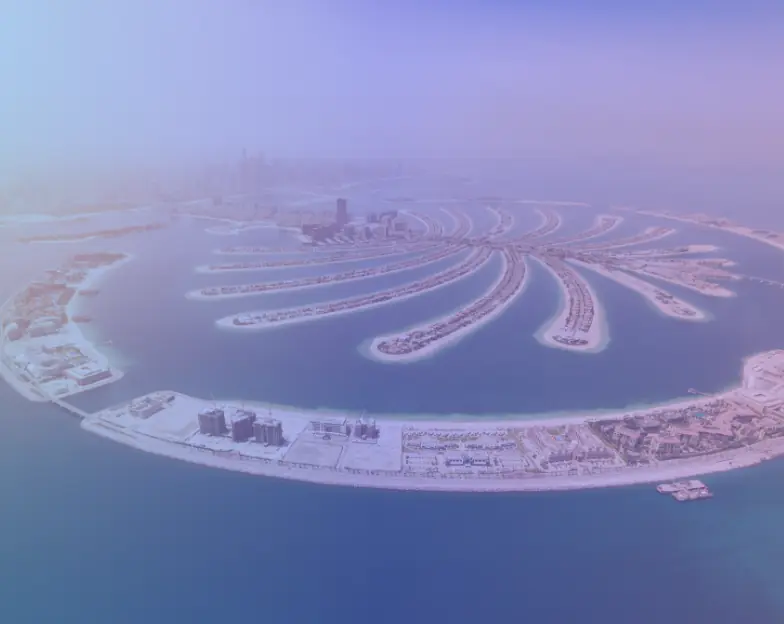 Medical and dental marketing in UAE: Aerial view of Dubai's palm-shaped island for branch and catchment planning, supporting local search and Google Maps