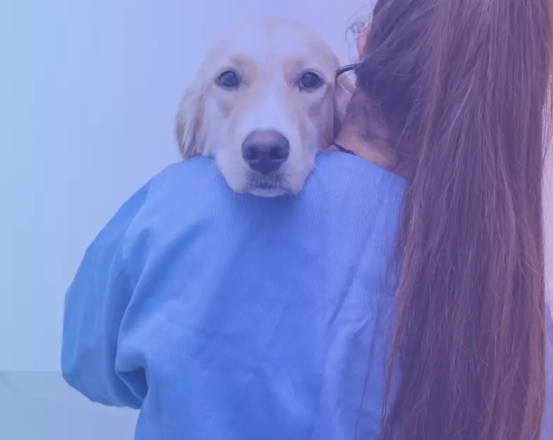 Medical and dental marketing in UAE: Dog resting its head on a veterinary worker's shoulder for Emergency and Urgent Veterinary Care