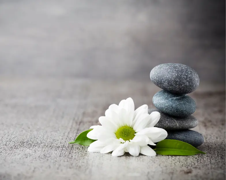 Medical and dental marketing in UAE: Stacked smooth stones beside a white flower for Wellness Centres, supporting fitness and wellness marketing UAE