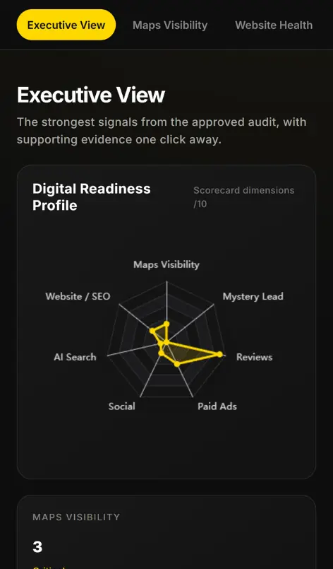 Clinic marketing audit for UAE: DOCNDOC Executive View with digital-readiness radar chart and channel tabs for See the market before you choose the plan, supporting clinic growth planning